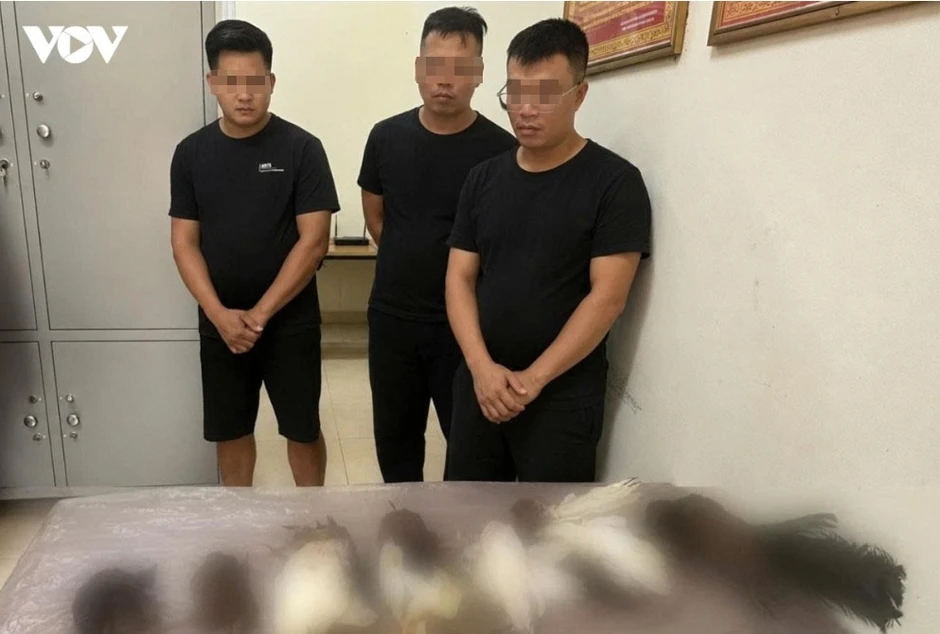 Điều tra nhóm 3 đối tượng sử dụng súng tự chế săn bắn chim trái phép ở Lào Cai Điều tra nhóm 3 đối tượng sử dụng súng tự chế săn bắn chim trái phép ở Lào Cai
