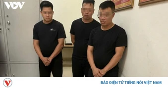 Điều tra nhóm 3 đối tượng sử dụng súng tự chế săn bắn chim trái phép ở Lào Cai