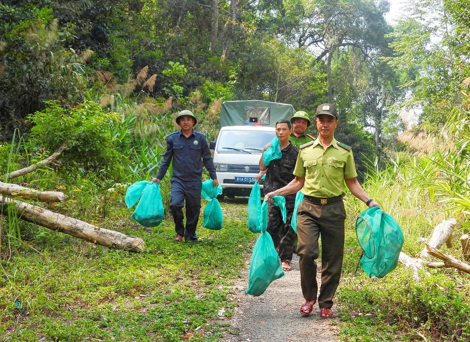 Điều trị chim, tê tê quý bị thương, thả về với tự nhiên Điều trị chim, tê tê quý bị thương, thả về với tự nhiên