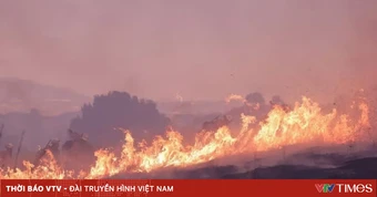 Điều trị tích cực cho ba chiến sĩ bị ngạt khí khi chữa cháy rừng