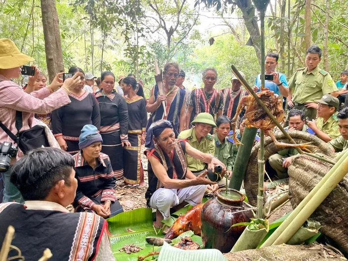 Độc đáo Lễ cúng rừng thu hút hàng ngàn người ở Gia Lai Độc đáo Lễ cúng rừng thu hút hàng ngàn người ở Gia Lai