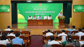 Đổi mới Hội Nông dân Việt Nam theo hướng chuyên nghiệp và hiện đại