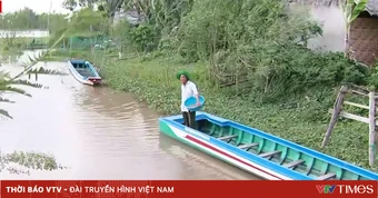 Đón cá trước mùa nước nổi