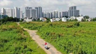 Đơn giá bồi thường cây trồng, vật nuôi khi thu hồi đất trên địa bàn TPHCM