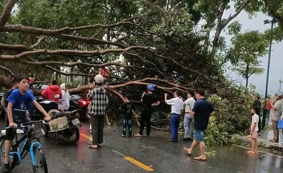 Dông lốc gây thiệt hại ở khu vực thị xã Nghĩa Lộ cũ, tỉnh Lào Cai Dông lốc gây thiệt hại ở khu vực thị xã Nghĩa Lộ cũ, tỉnh Lào Cai