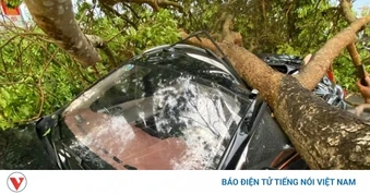 Dông lốc gây thiệt hại ở khu vực thị xã Nghĩa Lộ cũ, tỉnh Lào Cai