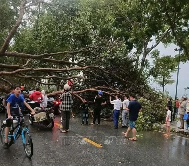 Dông lốc kèm mưa đá tại xã miền núi Nghệ An Dông lốc kèm mưa đá tại xã miền núi Nghệ An