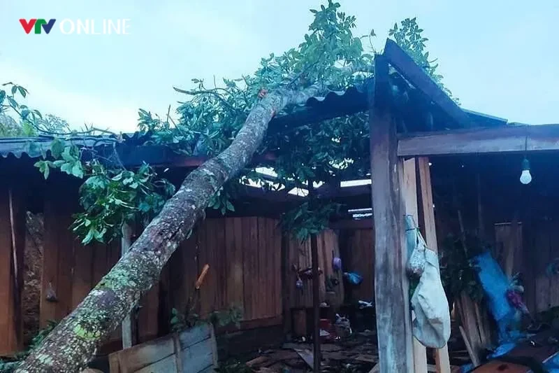 Dông lốc, mưa đá liên tục: Chuyên gia lý giải nguyên nhân Dông lốc, mưa đá liên tục: Chuyên gia lý giải nguyên nhân