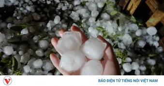 Dông lốc, mưa đá ở Lào Cai gây thiệt hại ước tính hơn 30 tỉ đồng