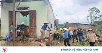 Dông lốc, mưa đá tại Nghệ An làm gần 1.000 nhà hư hỏng, hơn 8.000 ha lúa gãy đổ