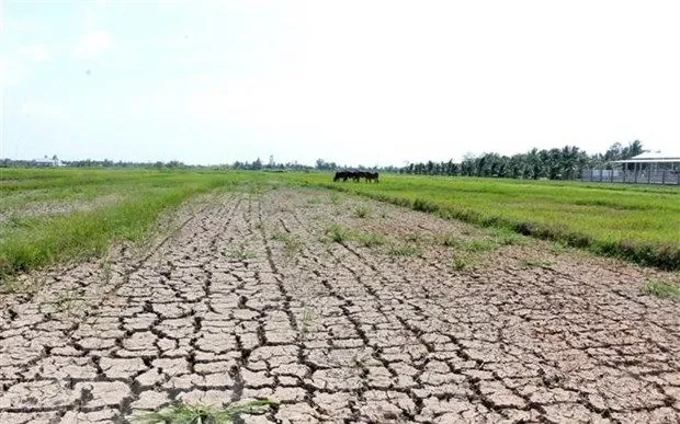 Đồng Nai lên kịch bản ứng phó nguy cơ thiếu nước do El Nino Đồng Nai lên kịch bản ứng phó nguy cơ thiếu nước do El Nino