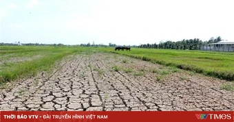 Đồng Nai lên kịch bản ứng phó nguy cơ thiếu nước do El Nino