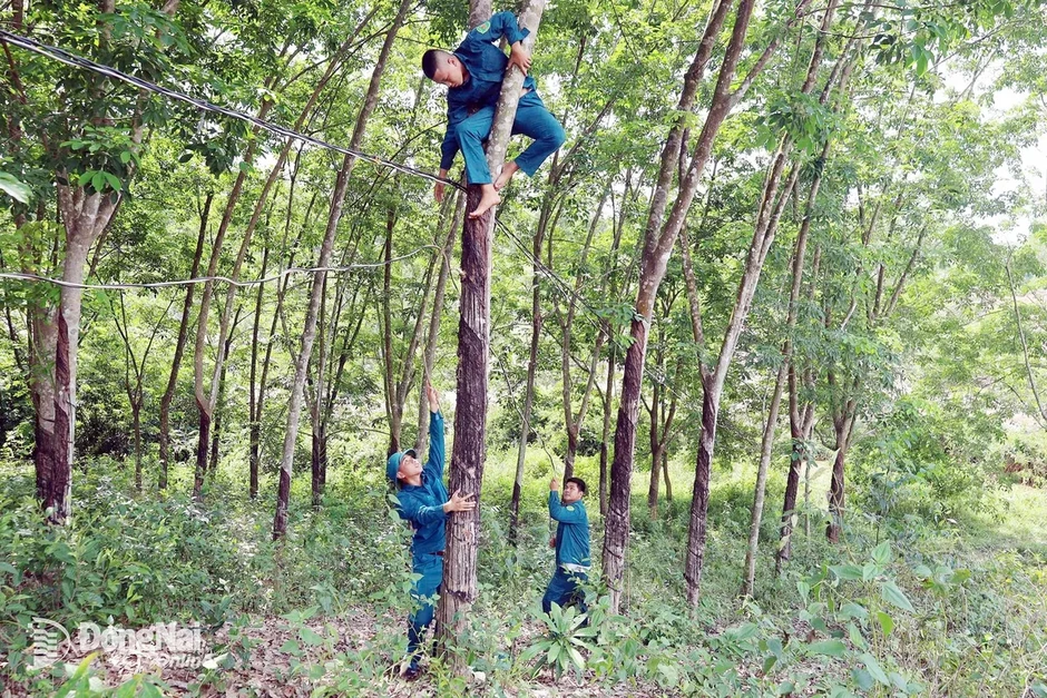 Đồng Nai: Người dân đồng lòng hiến đất mở đường Đồng Nai: Người dân đồng lòng hiến đất mở đường