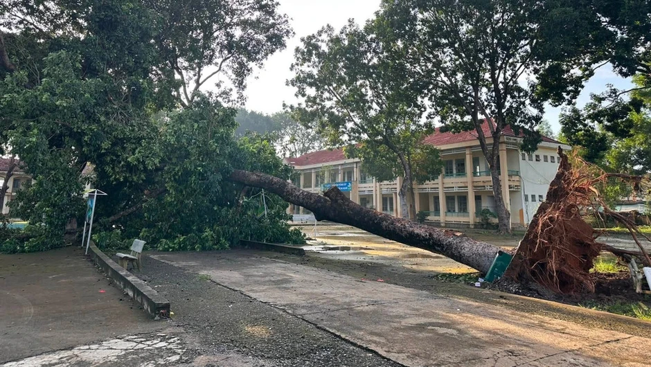 Đồng Nai: Nhanh chóng khắc phục hậu quả thiên tai ở nhiều xã khu vực biên giới