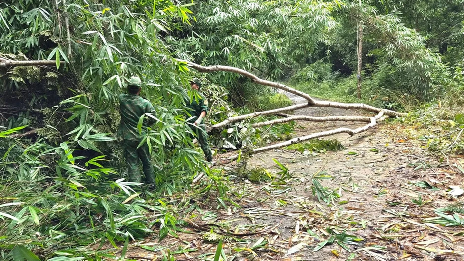 Đồng Nai: Nhanh chóng khắc phục hậu quả thiên tai ở nhiều xã khu vực biên giới