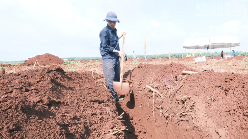 Đồng Nai: Tích cực mở rộng phạm vi tìm kiếm hài cốt liệt sĩ