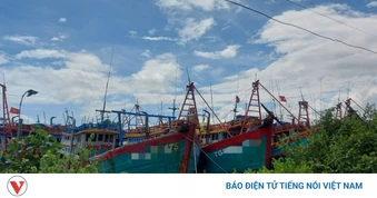 Đồng Tháp: 153 tàu cá không hoạt động đang được quản lý, giám sát chặt chẽ