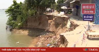Đồng Tháp: 3 điểm sạt lở nối tiếp nhau ven sông Tiền đe dọa 35 căn nhà