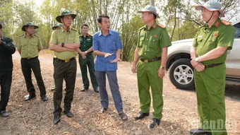 Đồng Tháp có 7 khu vực dự báo cháy rừng cấp cực kỳ nguy hiểm