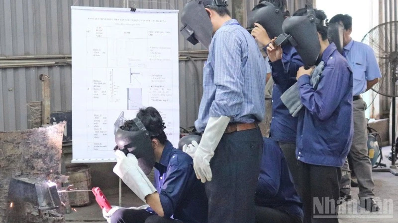 Đồng Tháp đào tạo nghề gắn với nhu cầu thị trường lao động Đồng Tháp đào tạo nghề gắn với nhu cầu thị trường lao động