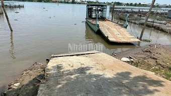 Đồng Tháp: Điều tra vụ tai nạn giao thông đường thủy nghiêm trọng