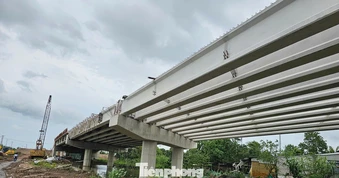 Đồng Tháp lập 3 Ban quản lý dự án chuyên ngành