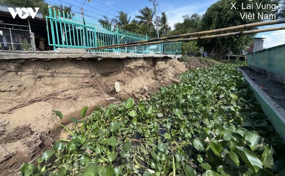 Đồng Tháp: Sạt lở bờ sông Lai Vung, 1 căn nhà đổ sụp xuống sông Đồng Tháp: Sạt lở bờ sông Lai Vung, 1 căn nhà đổ sụp xuống sông