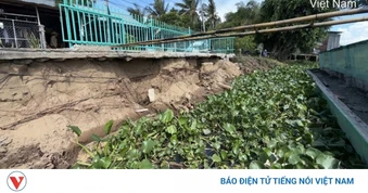 Đồng Tháp: Sạt lở bờ sông Lai Vung, 1 căn nhà đổ sụp xuống sông