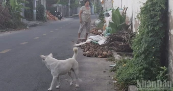 Đồng Tháp tăng cường phòng ngừa bệnh dại trên động vật