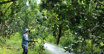Đồng Tháp, Tây Ninh: Đảm bảo nước ngọt, chủ động ứng phó hiện tượng El Nino