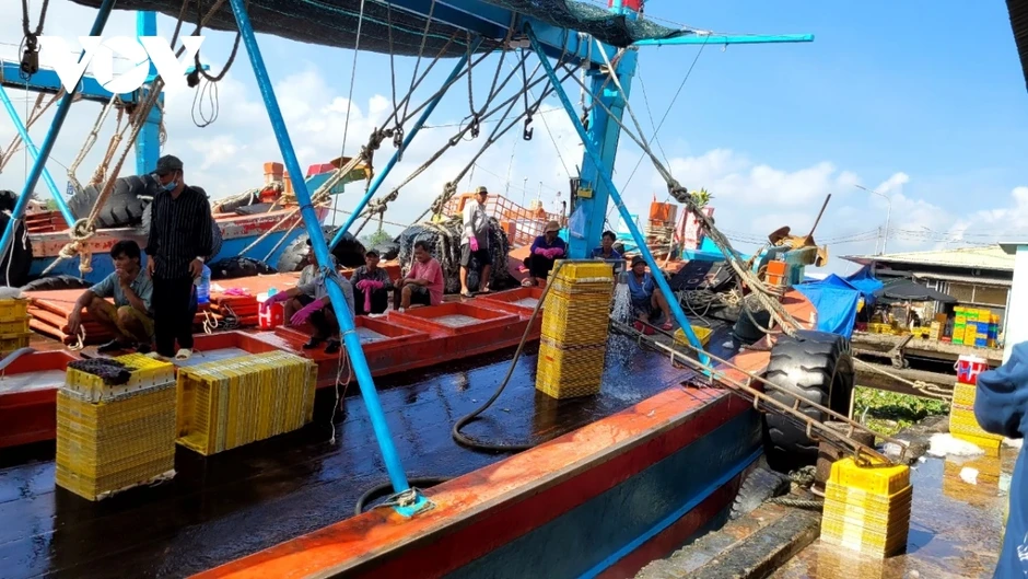 Đồng Tháp triển khai số hóa trong quản lý tàu cá để phòng chống vi phạm IUU Đồng Tháp triển khai số hóa trong quản lý tàu cá để phòng chống vi phạm IUU