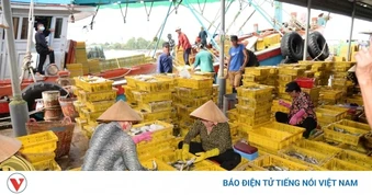 Đồng Tháp triển khai số hóa trong quản lý tàu cá để phòng chống vi phạm IUU
