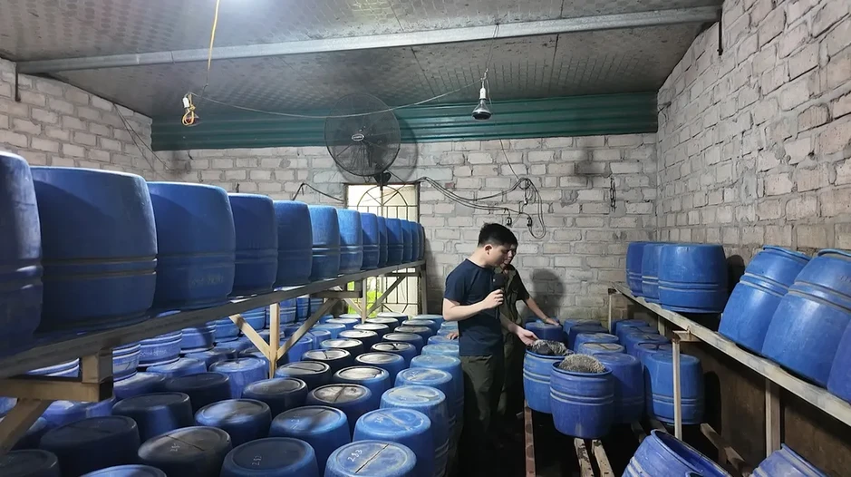 Đột kích xưởng sản xuất giá đỗ sử dụng chất cấm tại Quảng Ninh, thu giữ 4 tấn hàng Đột kích xưởng sản xuất giá đỗ sử dụng chất cấm tại Quảng Ninh, thu giữ 4 tấn hàng