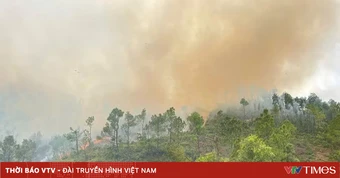 Đốt thực bì trên rẫy, hai vợ chồng tử vong thương tâm