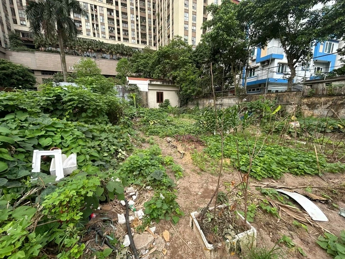 Dự án chậm tiến độ, người dân trồng rau, chuối trên "đất vàng" ở Hà Nội Dự án chậm tiến độ, người dân trồng rau, chuối trên "đất vàng" ở Hà Nội