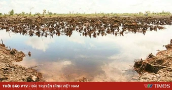 Dự báo triều cường gây xâm nhập mặn trên diện rộng từ ngày 21/3