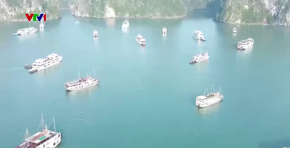 Du lịch biển sôi động, thu hút lượng lớn du khách trong kỳ nghỉ lễ Du lịch biển sôi động, thu hút lượng lớn du khách trong kỳ nghỉ lễ