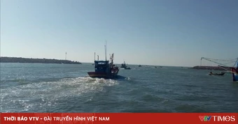 Đưa 4 ngư dân gặp nạn trên vùng biển Cô Tô vào bờ an toàn