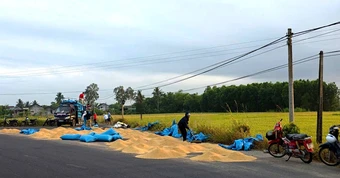 Đừng để 'cái sảy nảy cái ung'