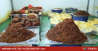 Đường dây biến thịt trâu thành “khô bò”, thu lợi hàng chục tỷ đồng