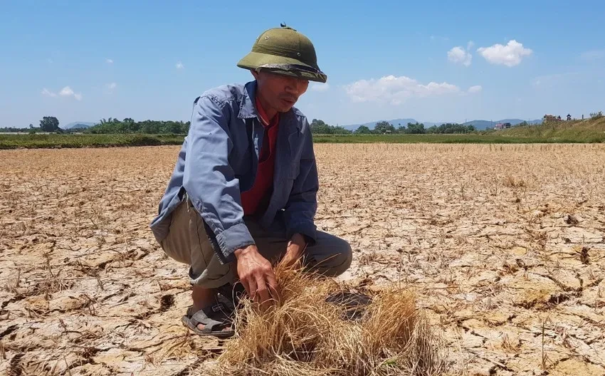El Nino có khả năng rất mạnh, nguy cơ thiếu nước diện rộng El Nino có khả năng rất mạnh, nguy cơ thiếu nước diện rộng