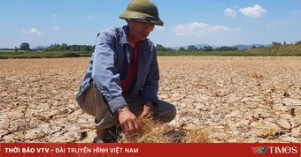 El Nino có khả năng rất mạnh, nguy cơ thiếu nước diện rộng