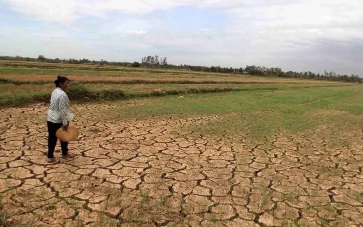 El Nino mạnh đến rất mạnh, Bộ Nông nghiệp và Môi trường cảnh báo nguy cơ hạn hán, xâm nhập mặn El Nino mạnh đến rất mạnh, Bộ Nông nghiệp và Môi trường cảnh báo nguy cơ hạn hán, xâm nhập mặn