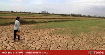 El Nino mạnh đến rất mạnh, Bộ Nông nghiệp và Môi trường cảnh báo nguy cơ hạn hán, xâm nhập mặn