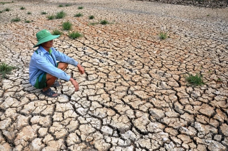 El Nino rất mạnh: Cảnh báo nguy cơ hạn hán và xâm nhập mặn El Nino rất mạnh: Cảnh báo nguy cơ hạn hán và xâm nhập mặn