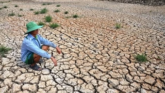 El Nino rất mạnh: Cảnh báo nguy cơ hạn hán và xâm nhập mặn