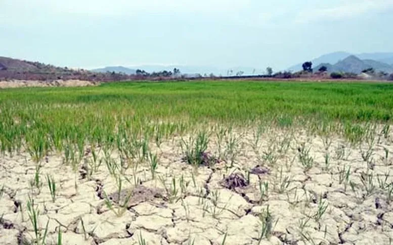 El Nino tiếp tục xảy ra mạnh thêm và có thể kéo dài sang đầu năm 2027