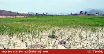 El Nino tiếp tục xảy ra mạnh thêm và có thể kéo dài sang đầu năm 2027