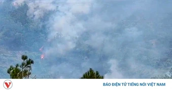 Gần 1.000 người xuyên ngày đêm, căng mình khống chế cháy rừng ở Nghệ An