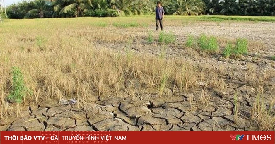 Gần 20.000 ha cây trồng tại Lâm Đồng đối mặt nguy cơ khô hạn nghiêm trọng